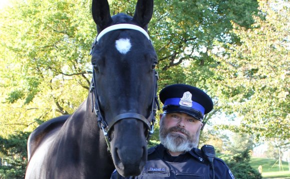 Halifax police horse needs new