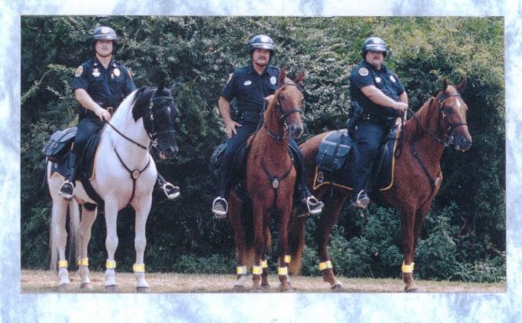 Mounted Patrol Unit