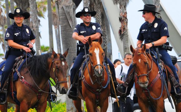 Lapd mounted units | by