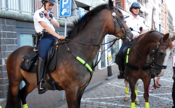 Mounted Police. (Summer )