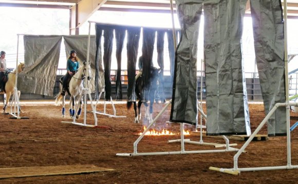 Mounted Police Horse Training