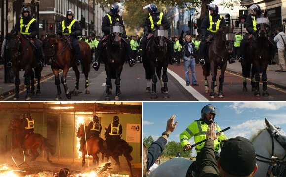 Mounted police horse units