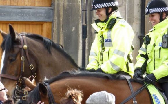 Mounted police units in