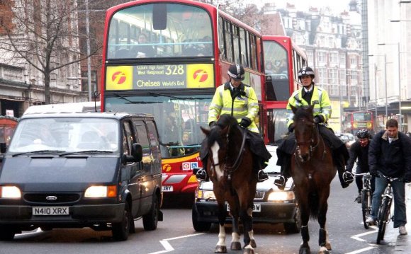London Police Horses