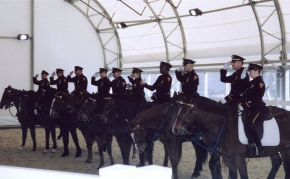Of the NYPD Mounted Unit