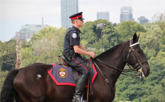 Toronto Police Mounted