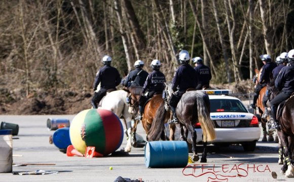 VPD Horse Training