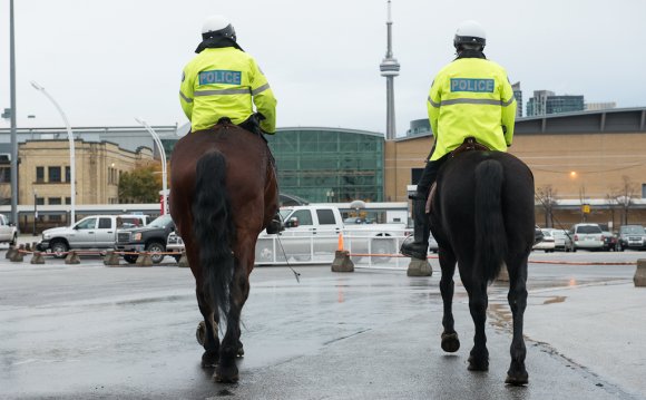 Where Do Police Horses Come