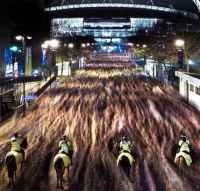 title="wembley-police-horses"