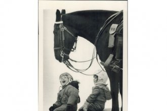 Aksel Neilsen and Shani Halfon reacted with delight as they meet police horse Champ at Harbourfront in 1987.