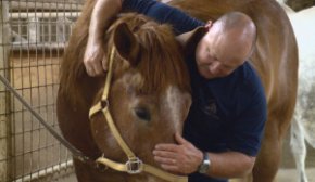 APD Ofc. Charles Bethel spends a little time with one of his 'equine officers.'