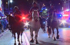 apd trio of horses