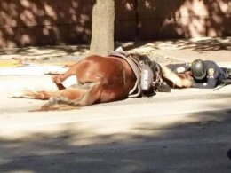 Charlotte Comforted by her Rider before death