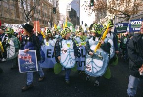 Citation: Protestors in turtle costumes, November 30, 1999. Copyright Peter Yates.