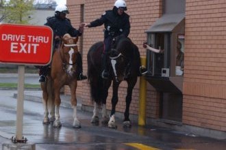 Const. Gregory John,  left,  and Const. Richard Cooper ride their horse-partners Brigadier and Spencer respectively through a Tim Hortons on a coffee run. Brigadier,  a beloved Belgian cross,  died in the line of duty after being struck in a deliberate hit and run in 2006. More than a 1, 000 mourners turned out for his hero’s send-off.