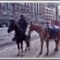 Cleveland Mounted Police