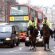 London Police horses