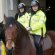 Mounted Police jobs