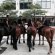 Mounted Police Salaries
