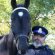 Police Horse Name