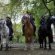 Portland Mounted Police