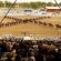 Royal Canadian Mounted Police Musical Ride