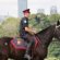 Toronto Police Mounted Unit