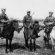 What is Cavalry in the Army?