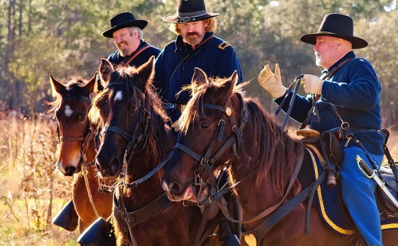 Civil War Cavalry horses