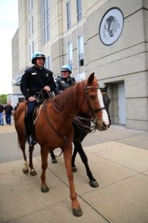 Mounted police officers usually earn more in New York, California and Illinois.