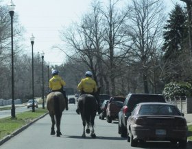 Police horses on patrol