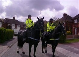 Policehorses