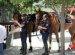 Mounted Police officers