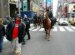 NYPD Mounted