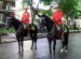 Royal Canadian Mounted Police (RCMP)