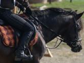 The right stirrup: your choice is your safety