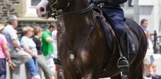 Sarge and Chris Marinelli, Halifax Regional Police Mounted Unit