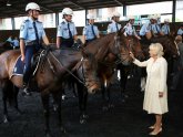 Australian Mounted Police