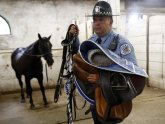 Chicago Mounted Police