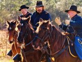 Civil War Cavalry horses