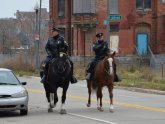 Detroit Mounted Police