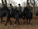 Household Cavalry Blues and Royals