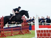 Household Cavalry Musical Ride