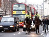 London Police horses