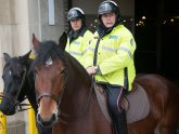 Mounted Police jobs