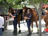 Mounted Police officers