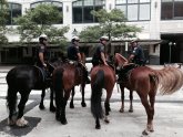 Mounted Police Salaries