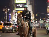 Mounted Policeman