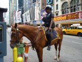 New York Mounted Police