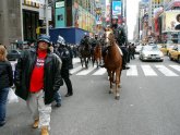 NYPD Mounted